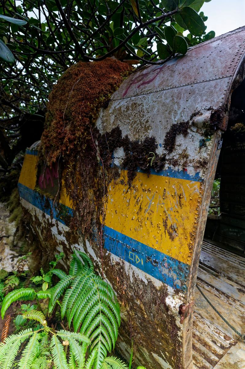 DC-3-Wrack Flugzeug 2 DC-3-Flugzeug und Vegetation