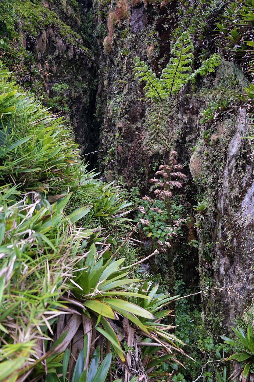 Soufrière-Verwerfung am Berg große Verwerfung der Soufrière