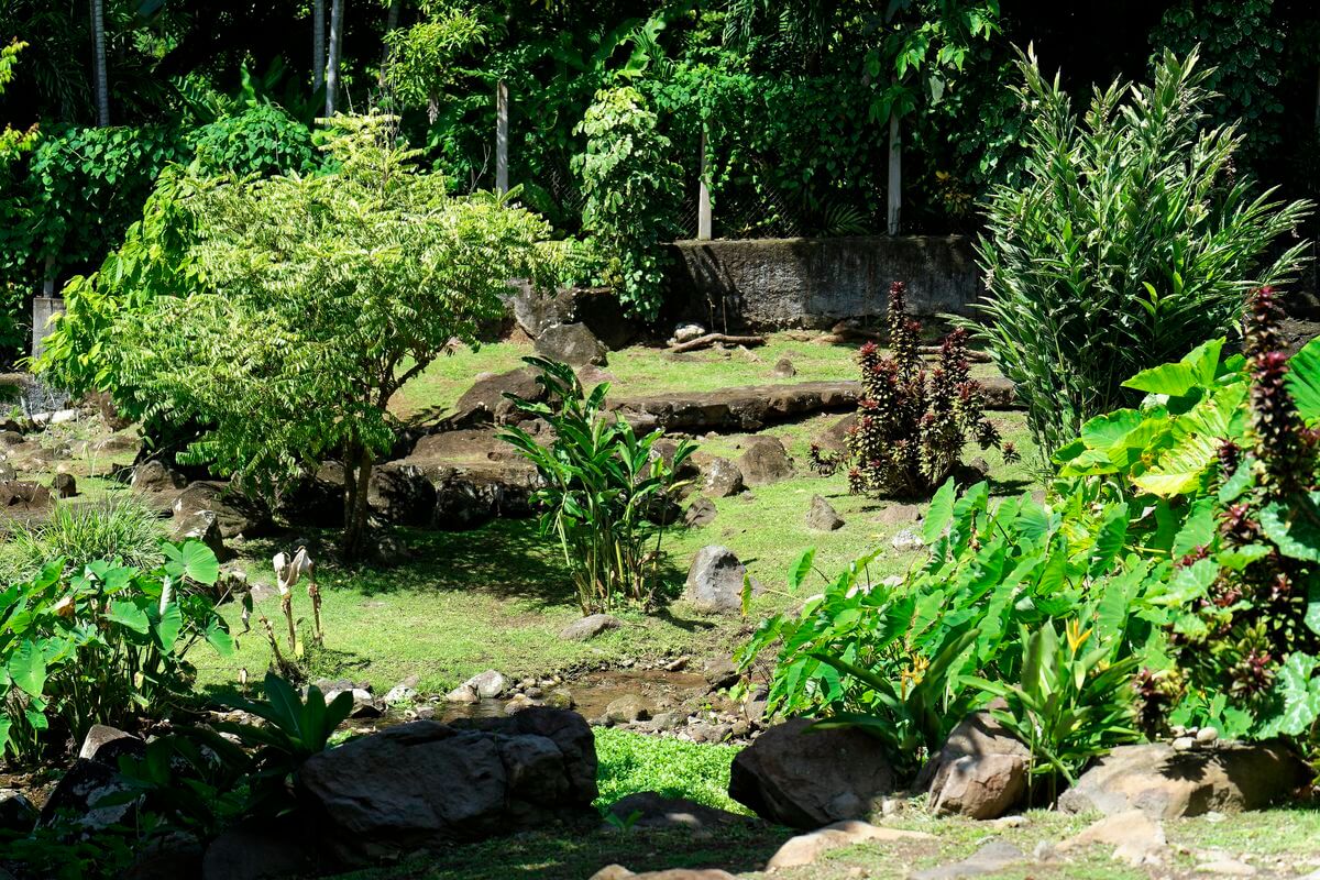 Gartenpark Schöner Garten von Guadeloupe