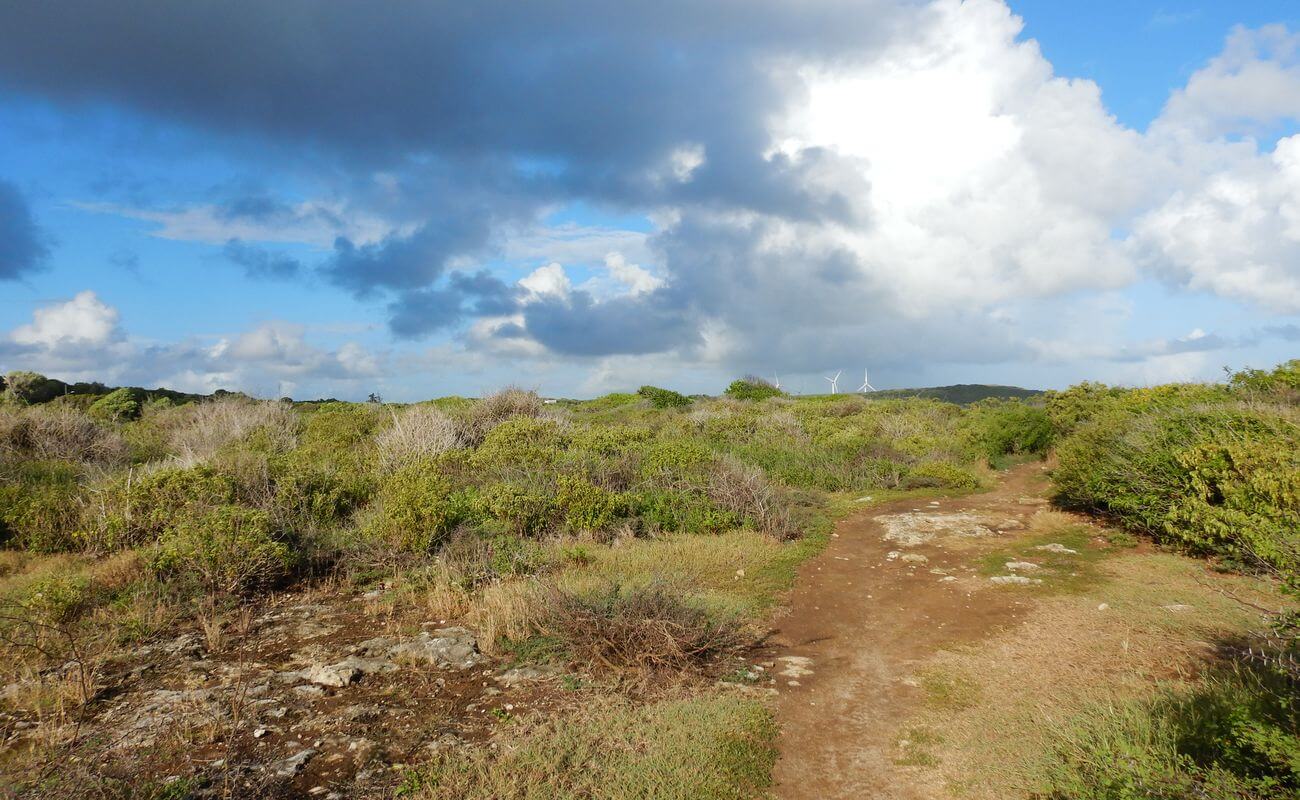 Die Pointe des Châteaux, Guadeloupe Entdeckung der Pointe des Châteaux, Guadeloupe
