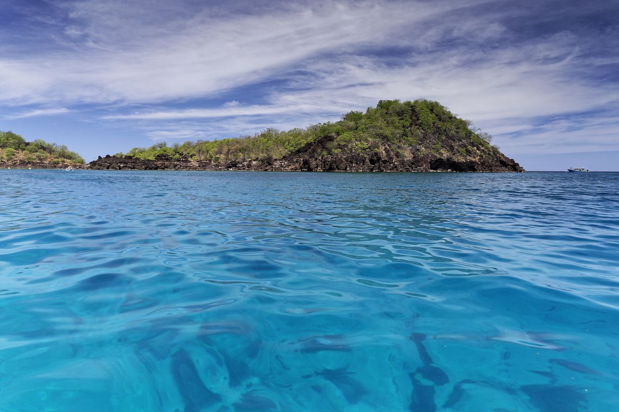 Cousteau-Reservat in Guadeloupe Cousteau-Reservat