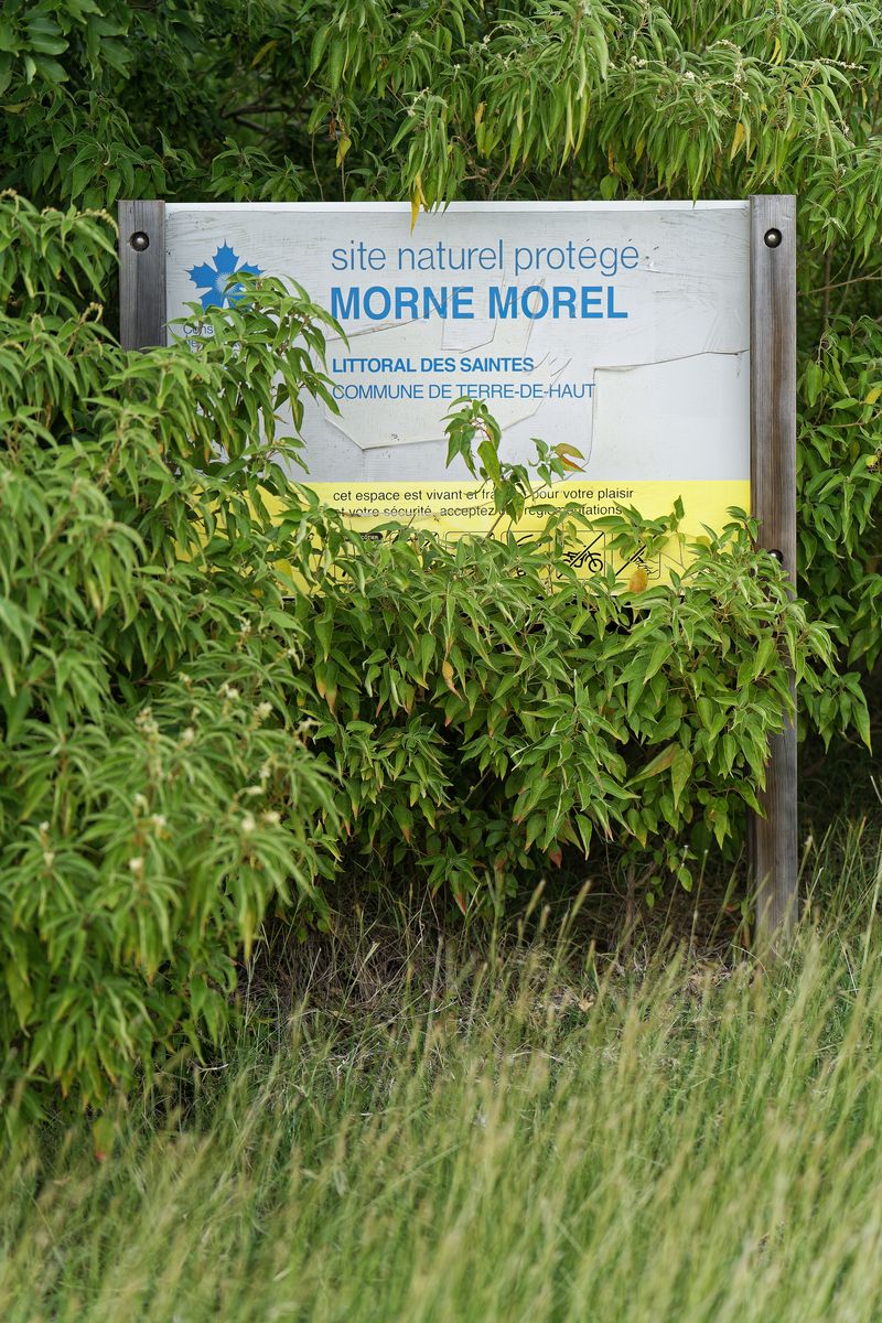 Der Morne Morel Wanderung zum Morne Morel