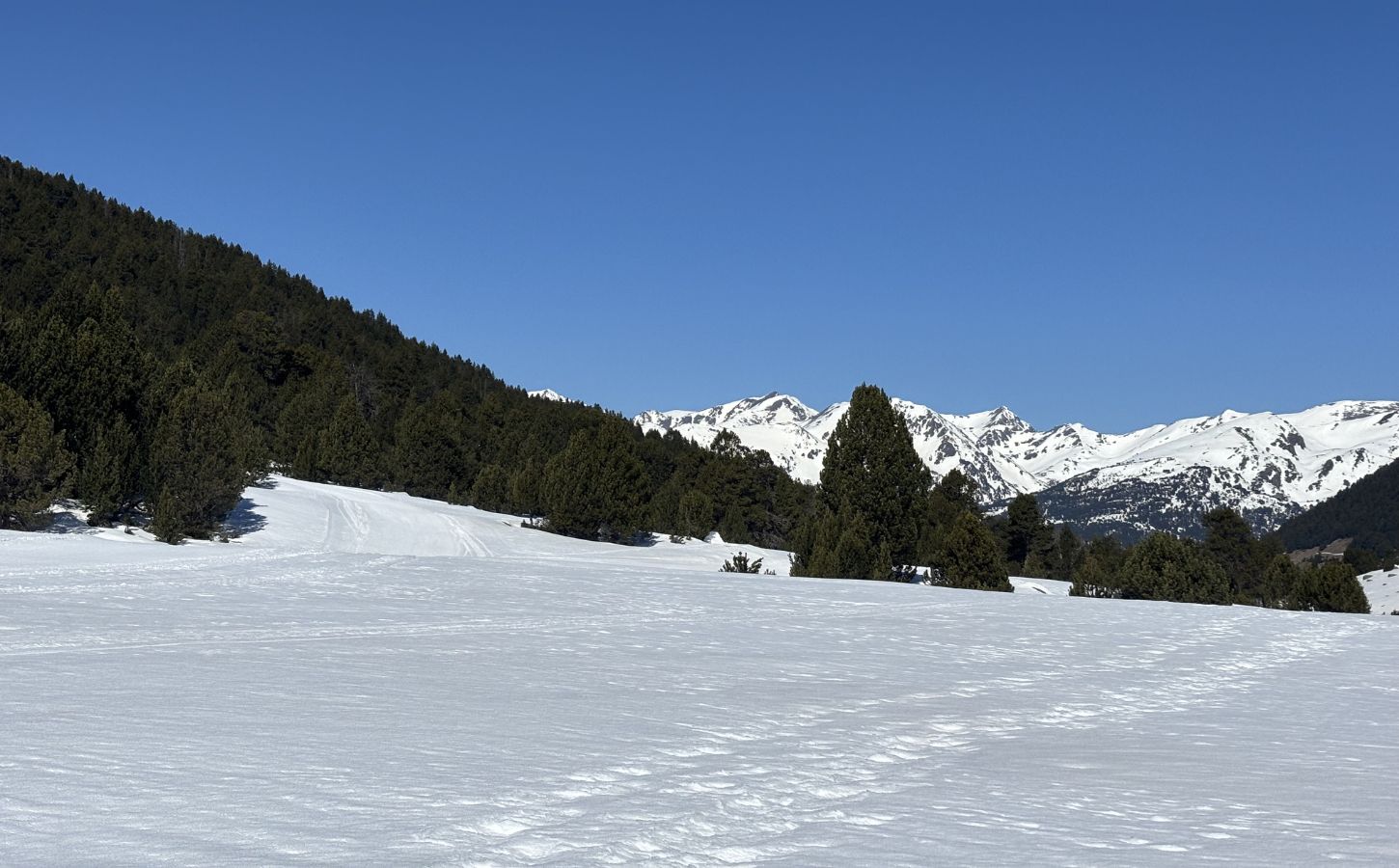 Wunderschönes Panorama von Grau Roig