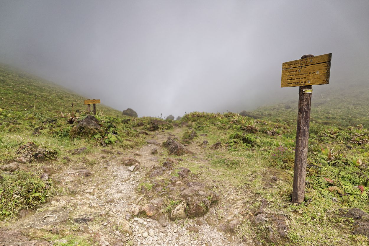 Nebelwanderung Soufrière Nebelwanderung Soufrière