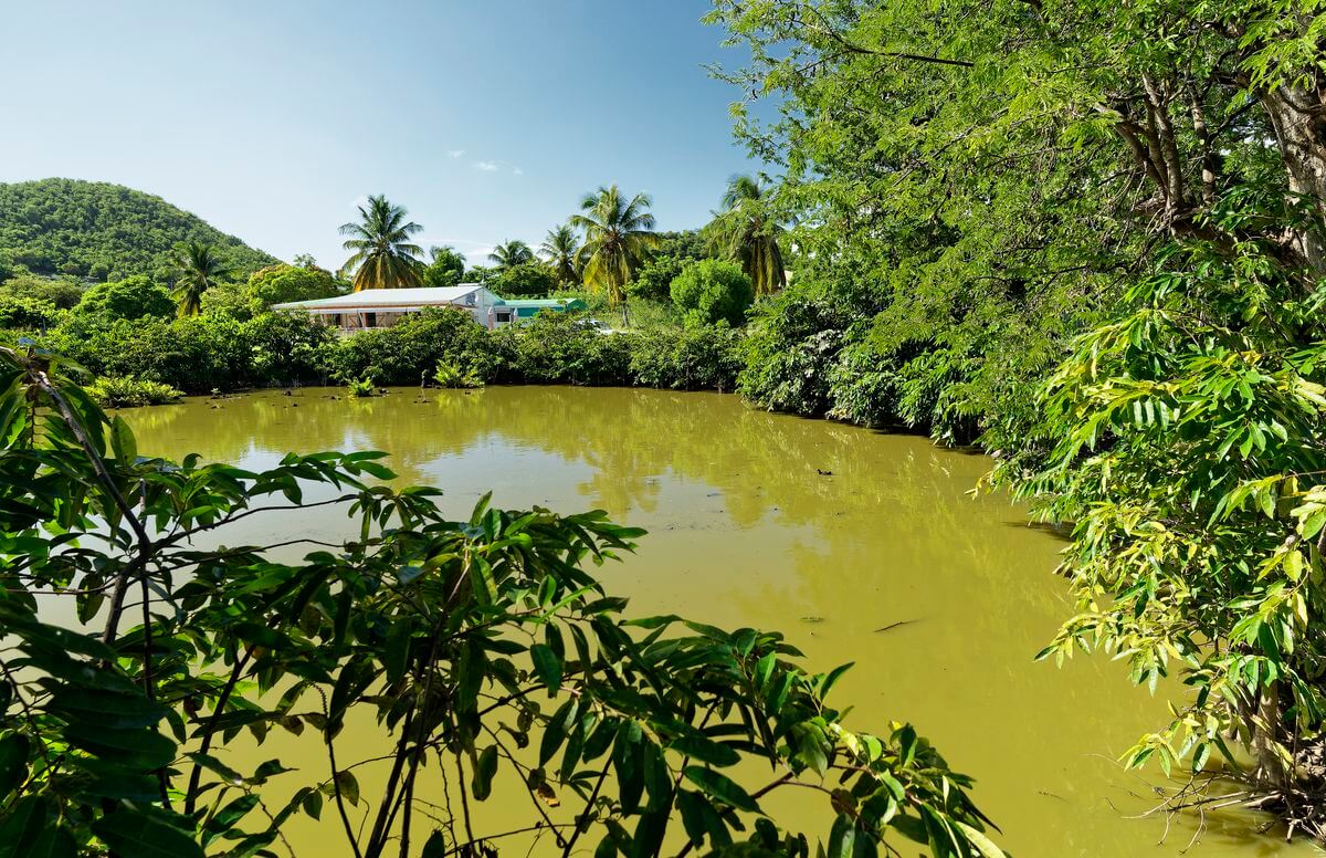 Grand Trou Teich in Terre-de-Bas Teich in Terre-de-Bas