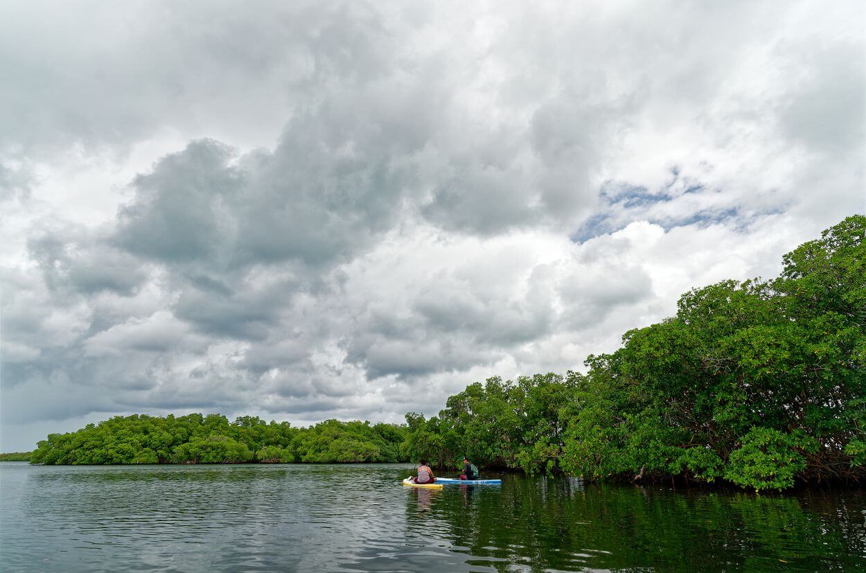 Paddeln in der Lagune von Guadeloupe Paddeln in der Lagune von Guadeloupe
