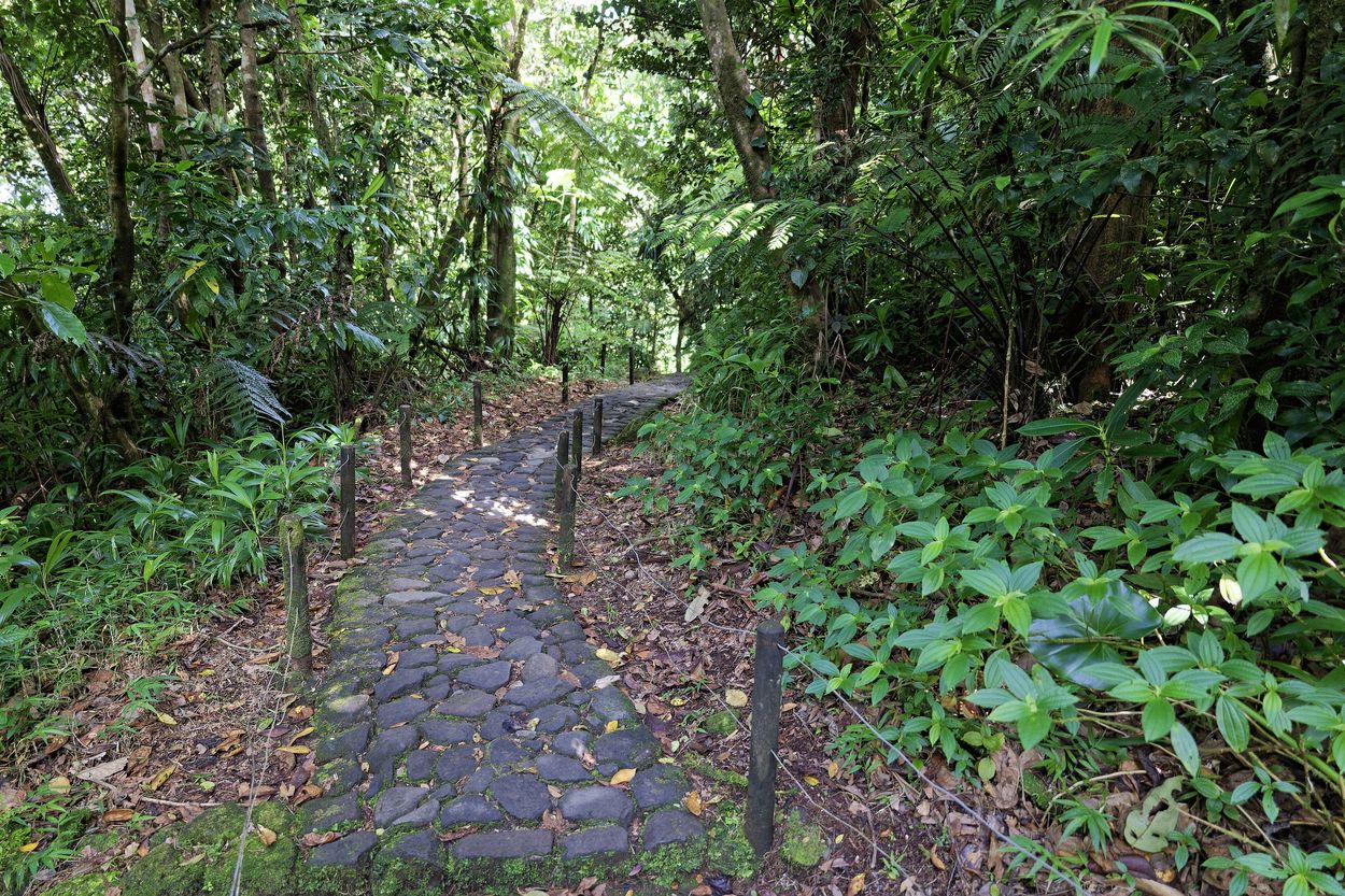 Soufrière-Wegweiser in Guadeloupe Soufrière-Pfad