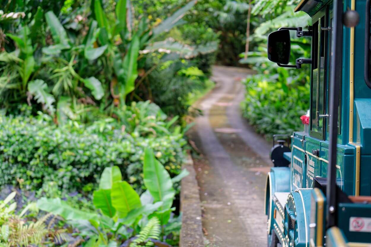Kleiner Garten-Zug von Valombreuse Kleiner Garten-Zug von Valombreuse in Guadeloupe