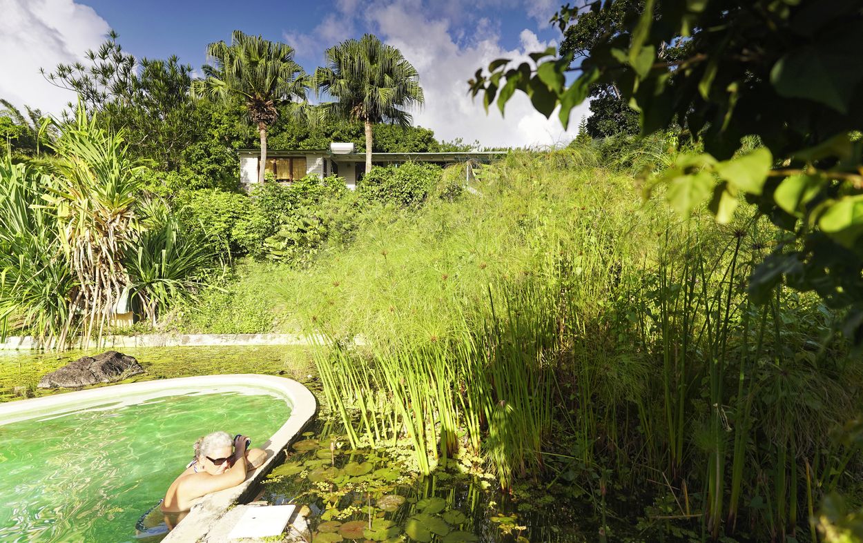 Tropicangel Swimmingpool der Swimmingpool