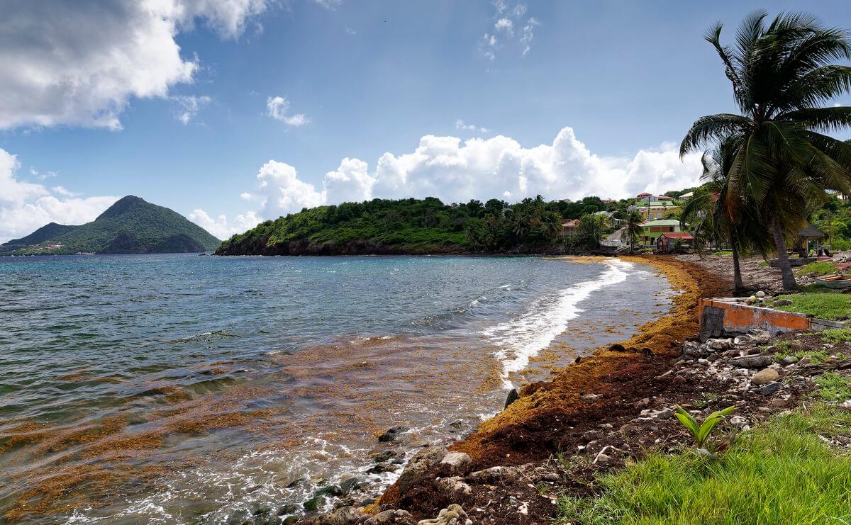 Strand an der Grande Anse Strand Grande Anse
