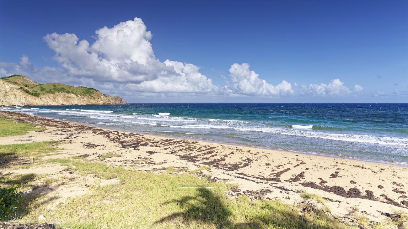 Strand Grande Anse in Terre-de-Haut Strand Grande Anse in Terre-de-Haut