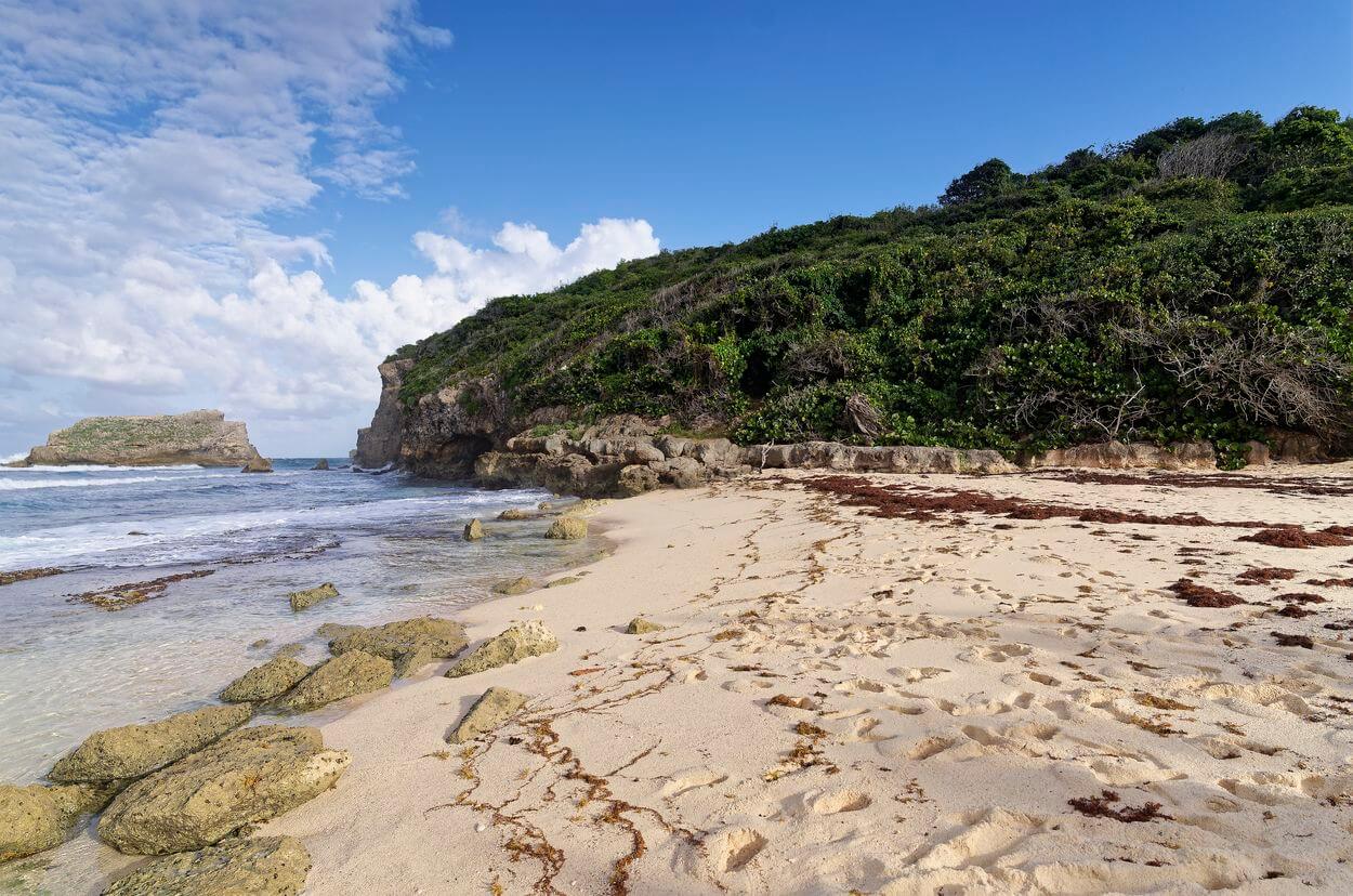 Anse à Coq Beach Anse à Coq Beach