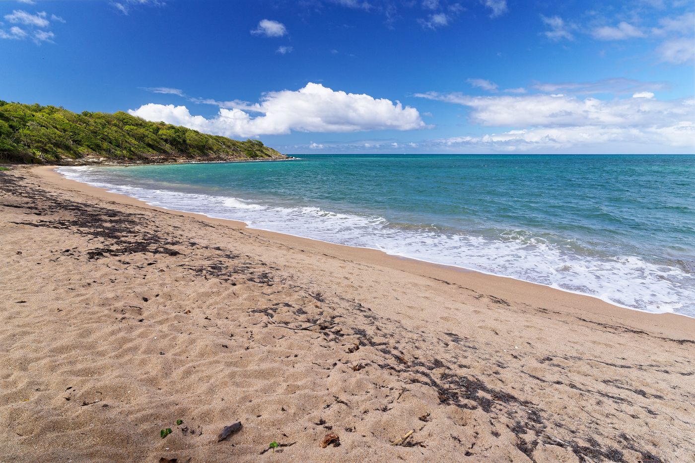 Mandelbaum-Strand Strandurlaub in Guadeloupe