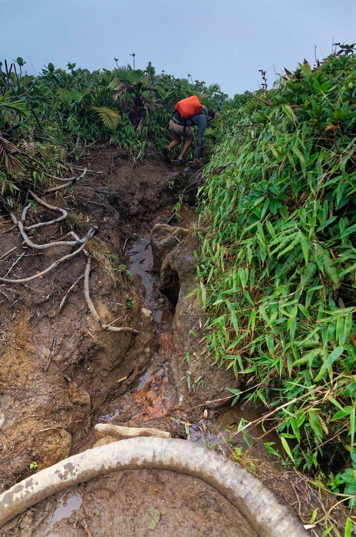 Schlammige Wanderung Schlammige Wanderung Guadeloupe