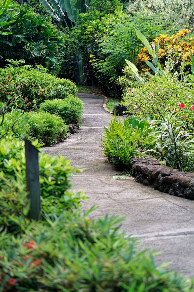 Garten in Deshaies Spaziergang im Garten von Deshaies