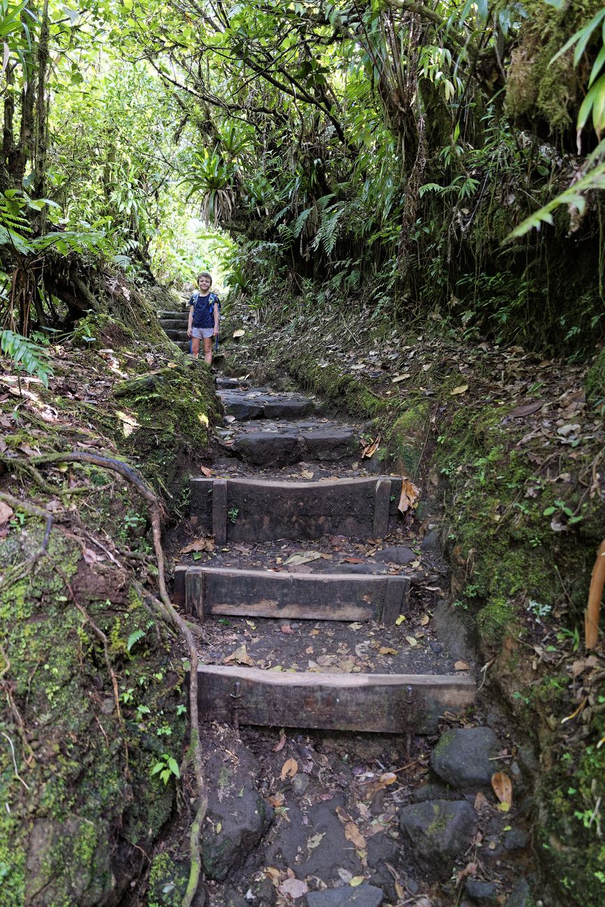 Soufrière Trail Louis und die Treppe