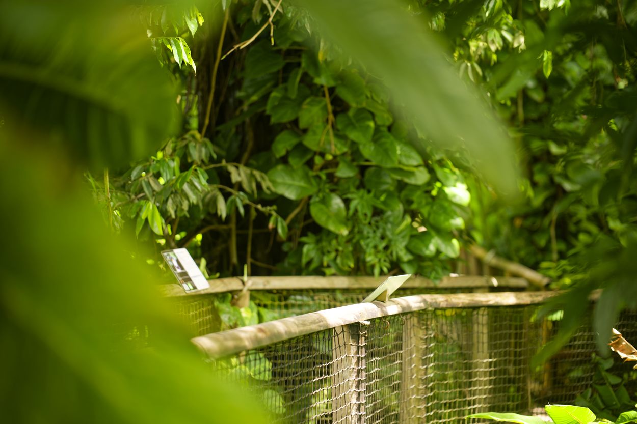 Zoo-Vegetationspfad Zoo-Pfad