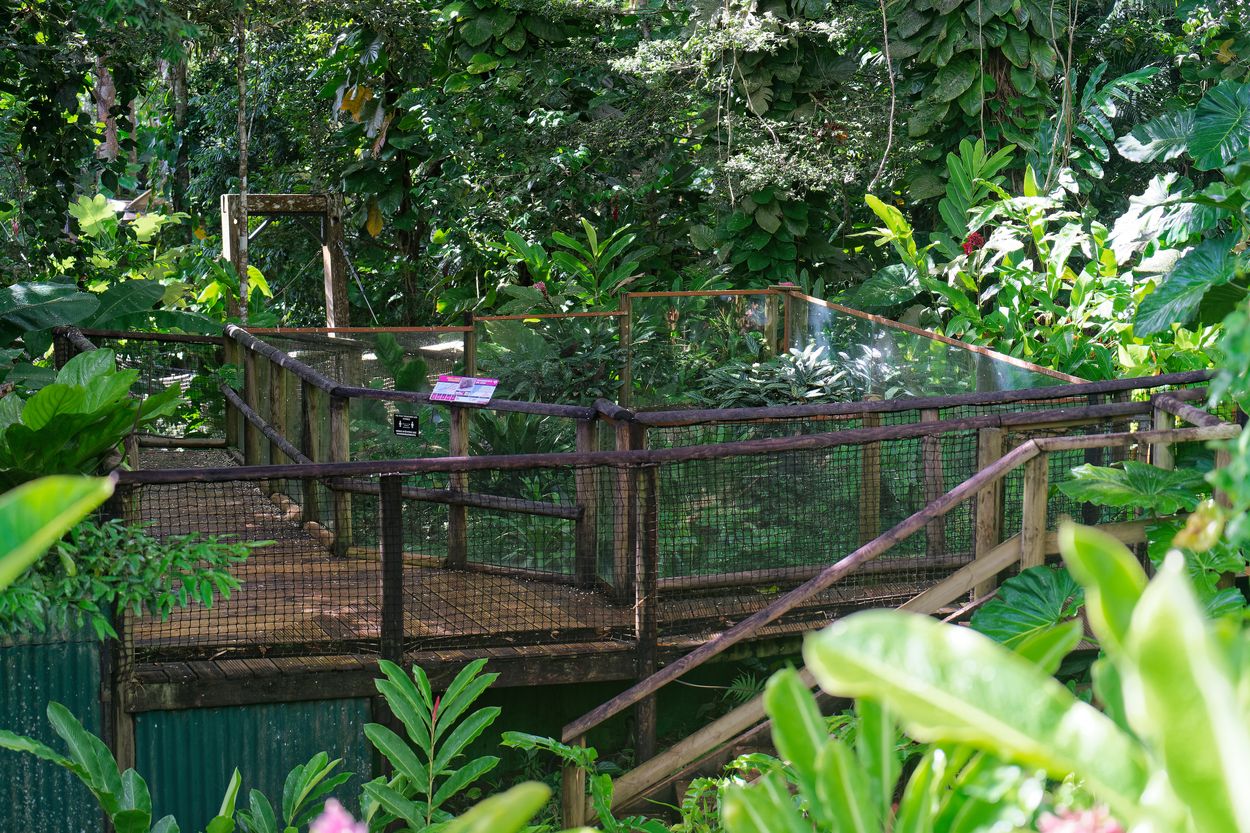 Wanderweg im Zoo von Guadeloupe Wanderweg im Zoo von Guadeloupe