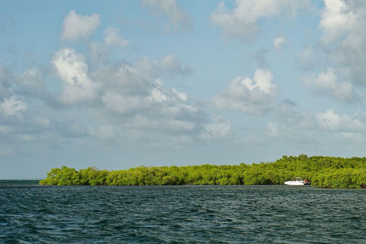 Ausflug in Sainte-Anne, Guadeloupe Ausflug in Sainte-Anne, Guadeloupe