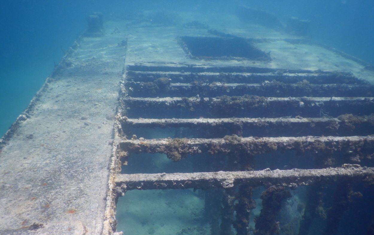 unter wasser grand cul de sac marin guadeloupe guadeloupe schiffswrack tauchen