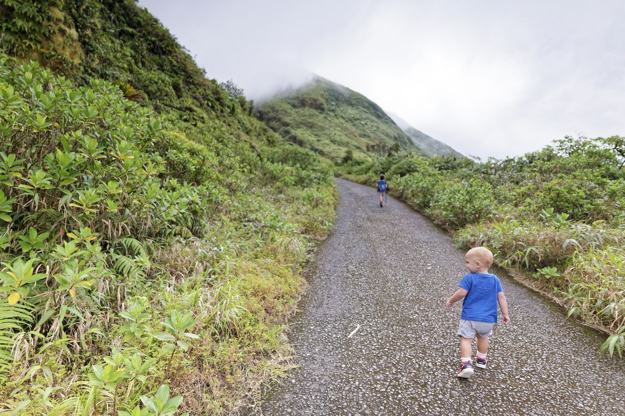 Téo wandert zur Soufrière Téo beim Wandern zur La Soufrière