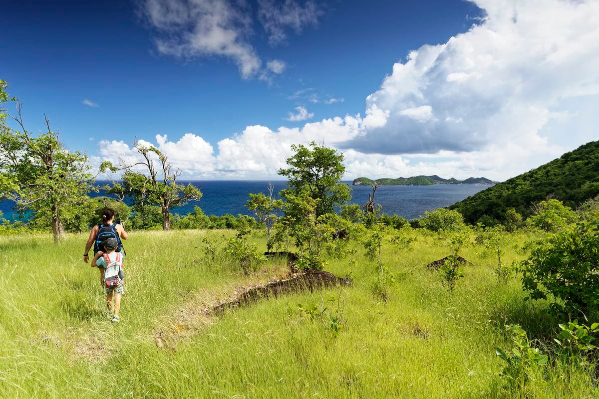 Wanderung auf dem Trace des Falaises in Terre-de-Bas Wandern in Terre-de-Bas, Guadeloupe