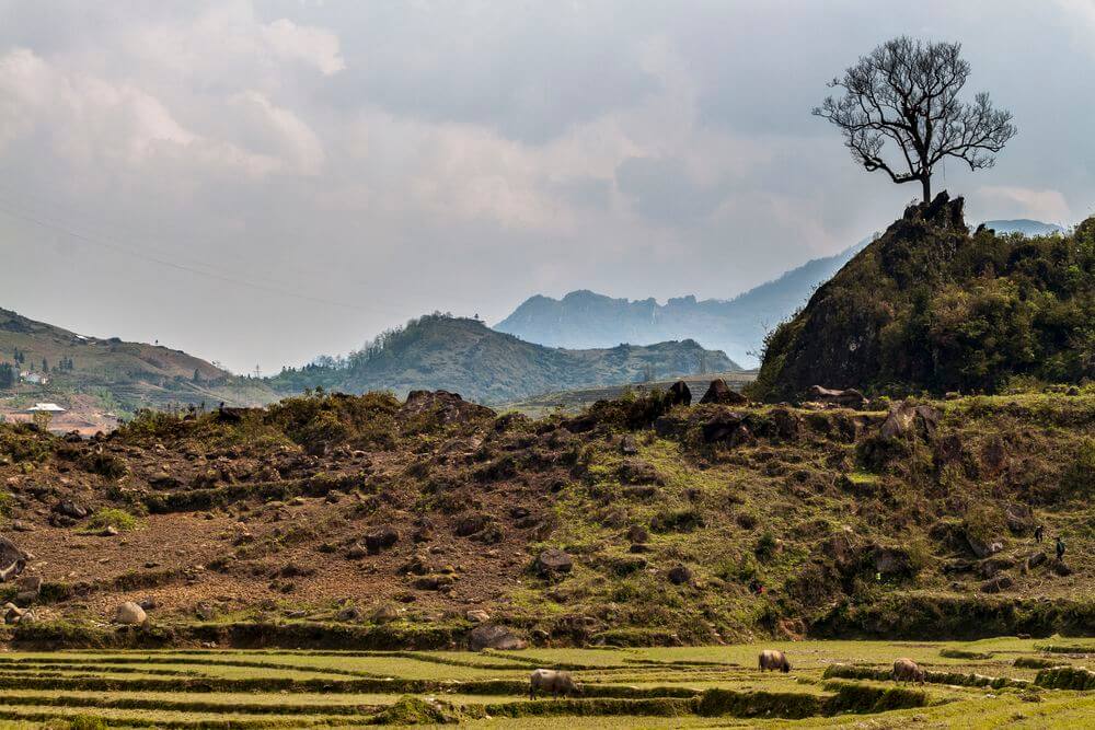 Reise nach Vietnam in Südostasien Nordvietnam in Südostasien