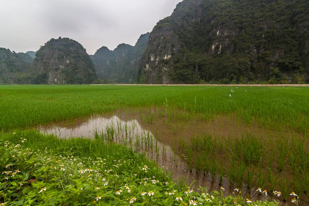 Vietnam und Südostasien Reiseroute für Südostasien und Vietnam