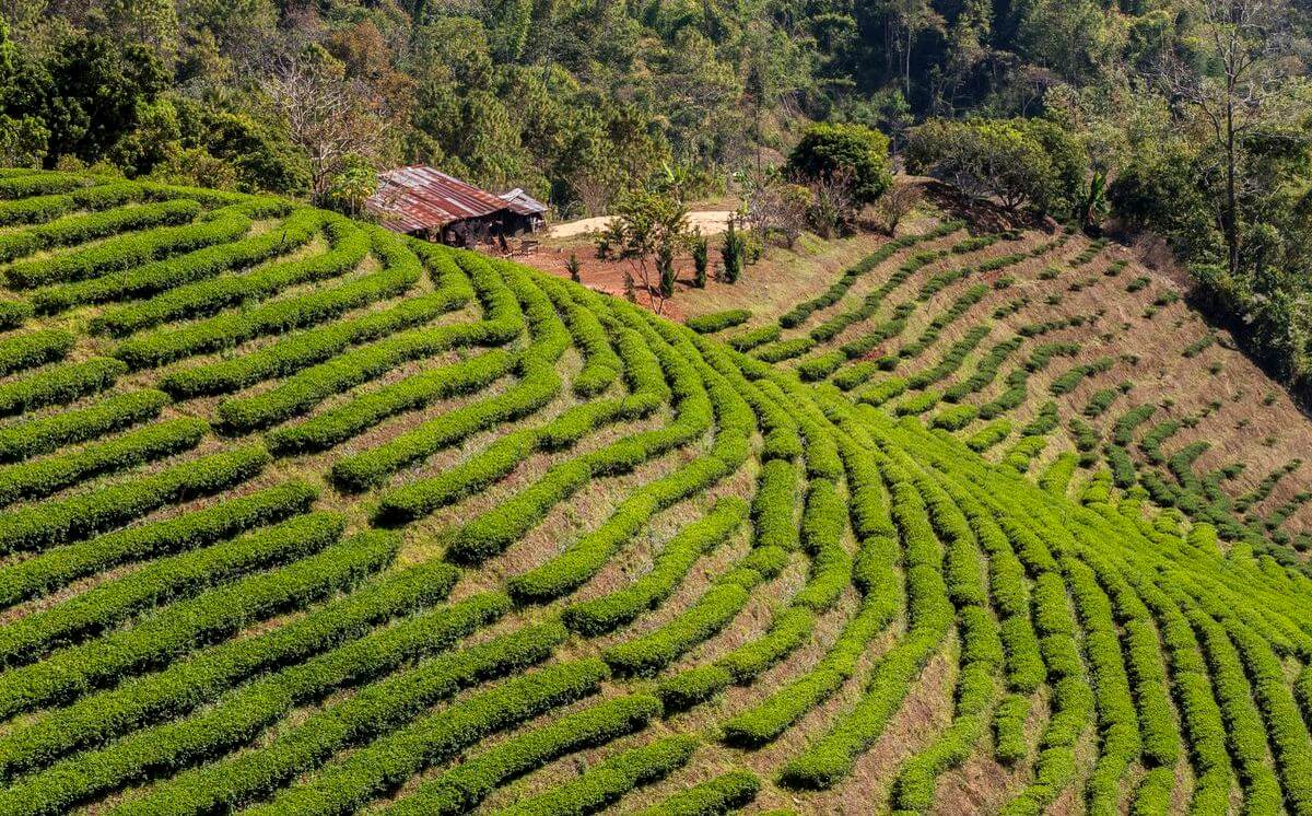 Reise nach Thailand in Südostasien Thailand in Südostasien