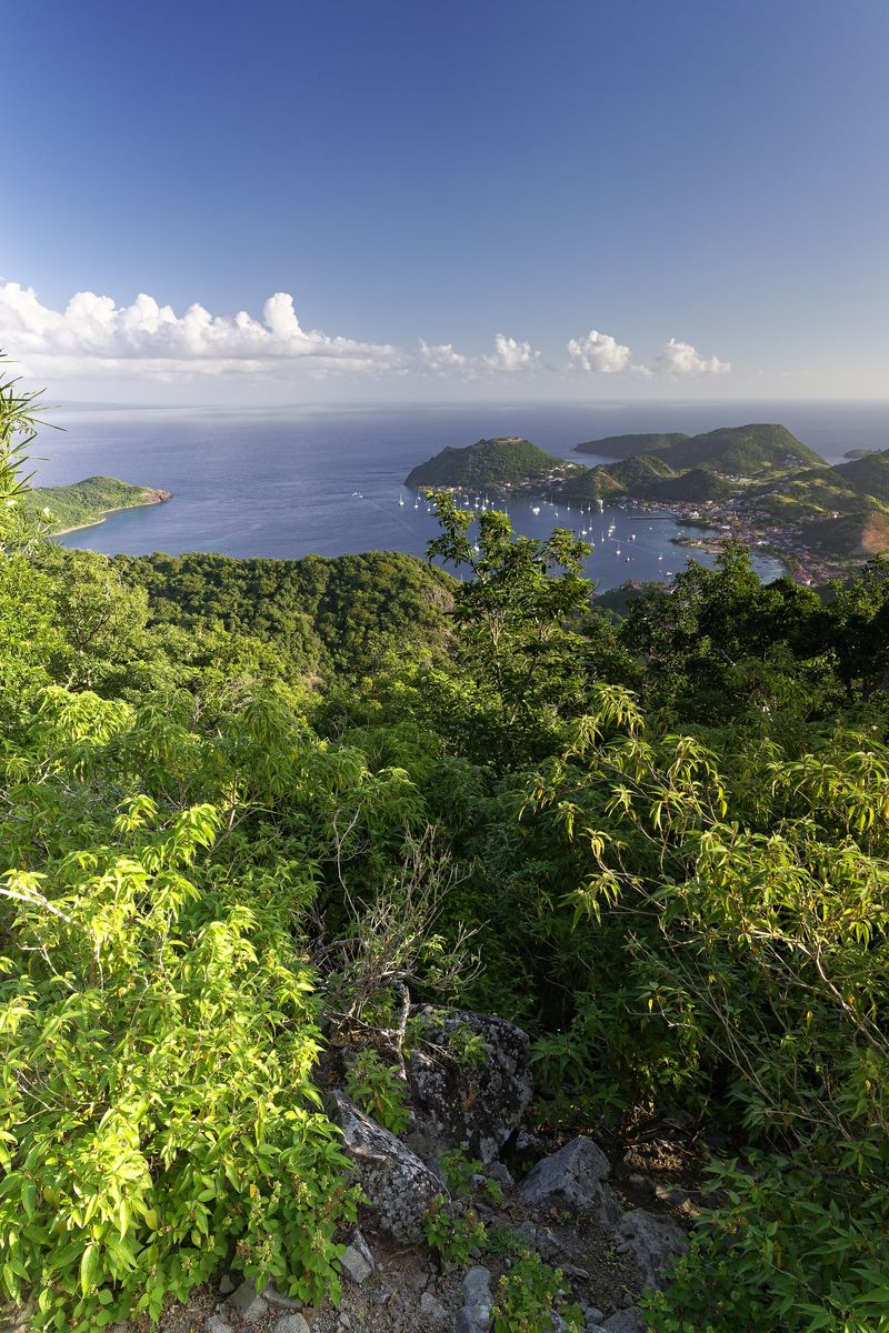 Blick auf Terre-de-Haut 2 Blick auf Terre-de-Haut