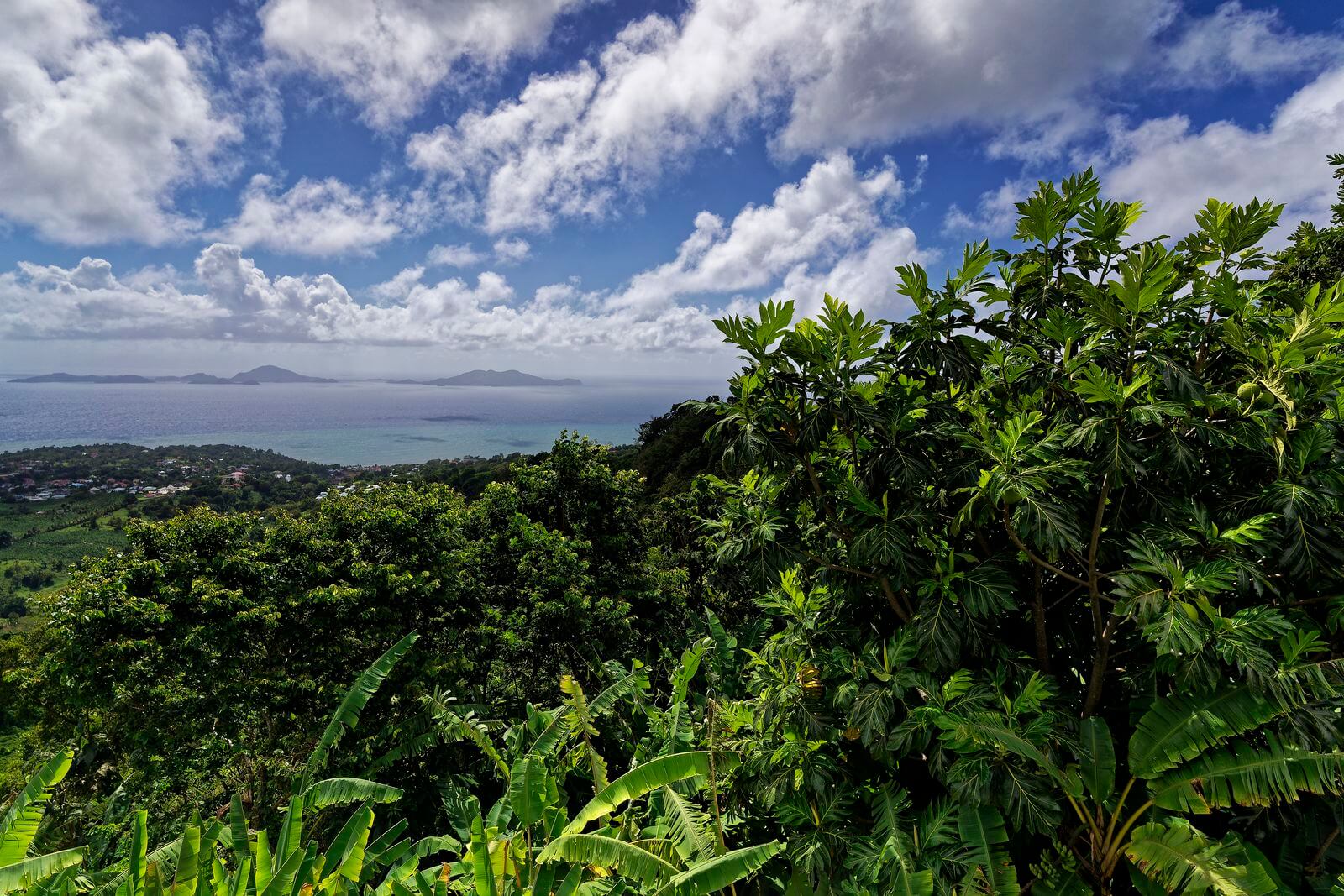 Maison de la Banane Aussicht Aussichtspunkt über Trois Rivière