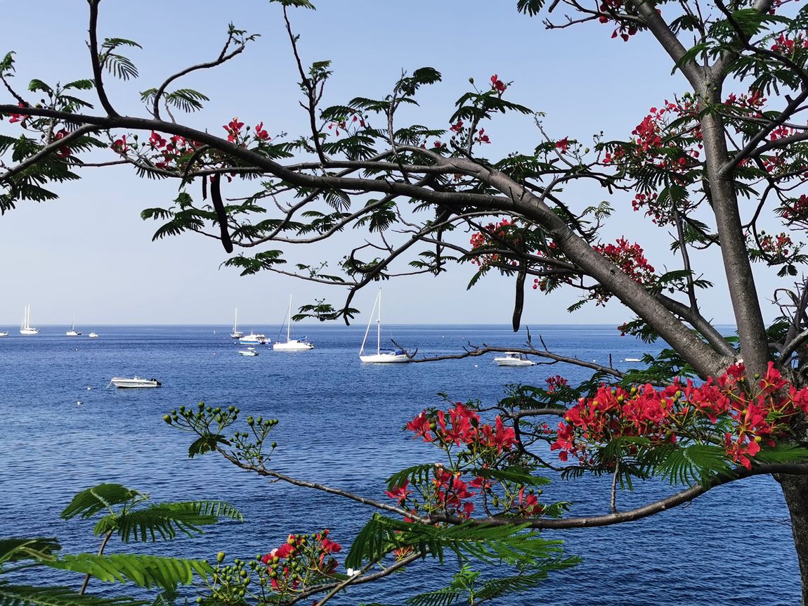 Blick auf das Cousteau-Reservat Blick auf das Cousteau-Reservat in Guadeloupe