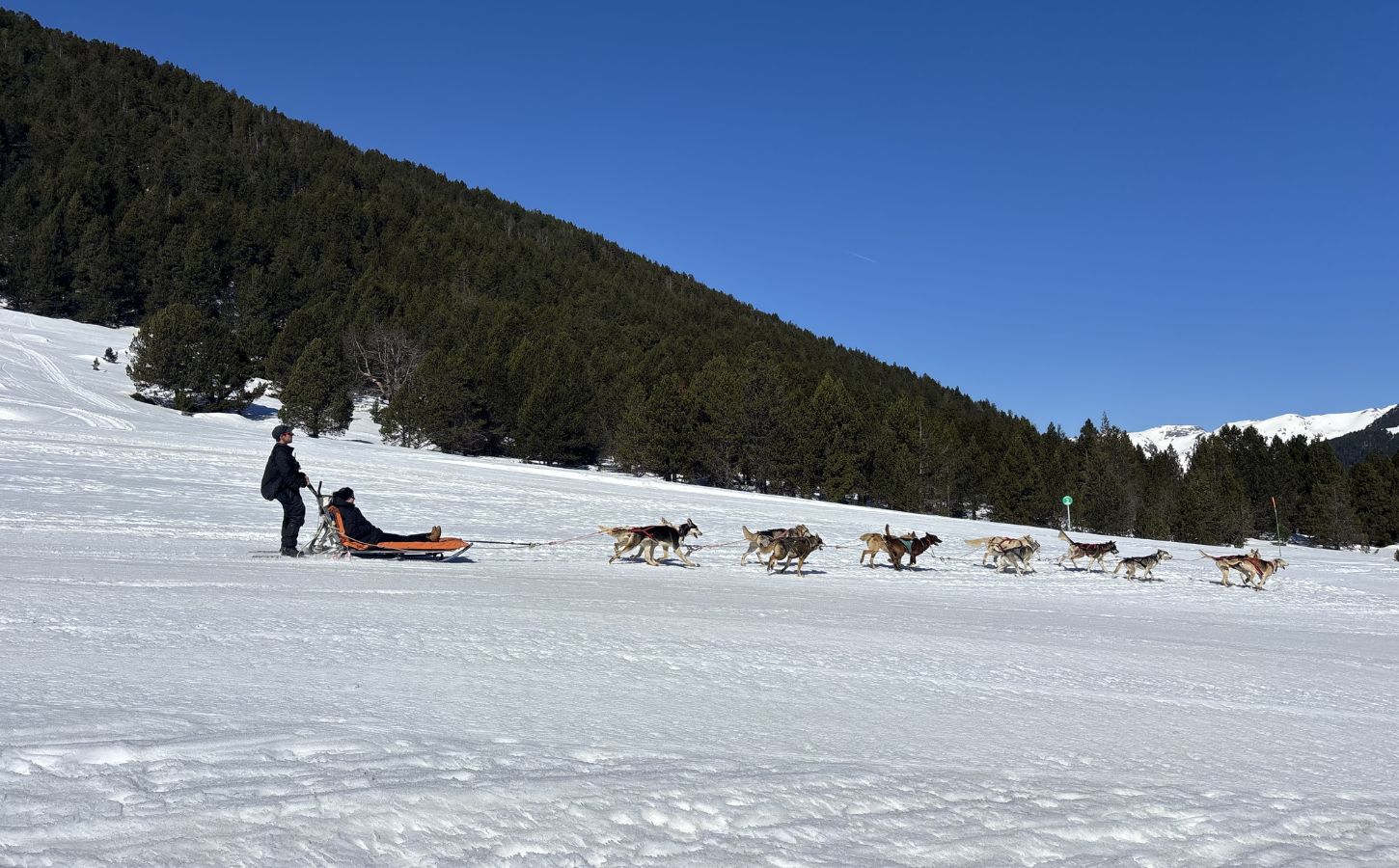 Dog sledding Andorra