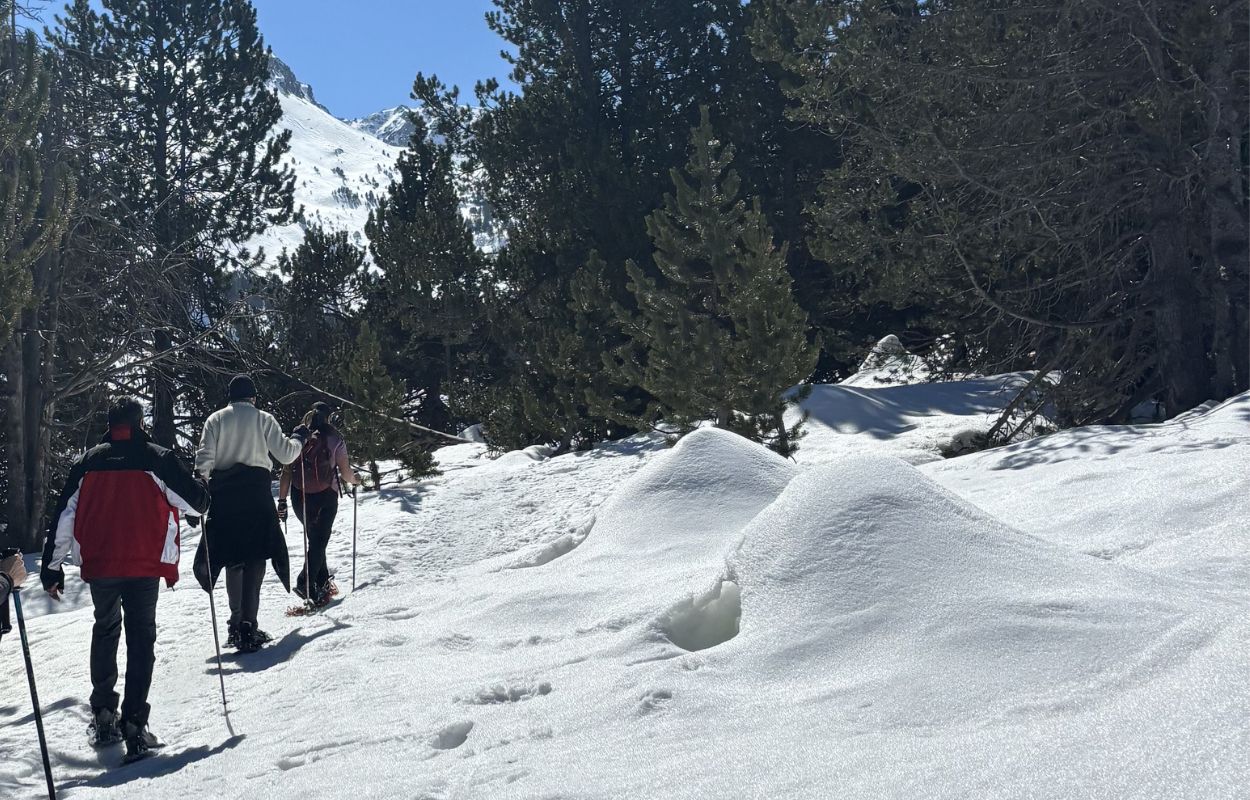 Snowshoeing group