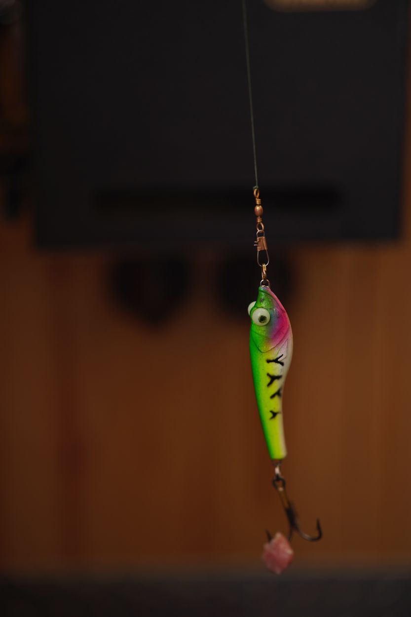 hook fishing hook