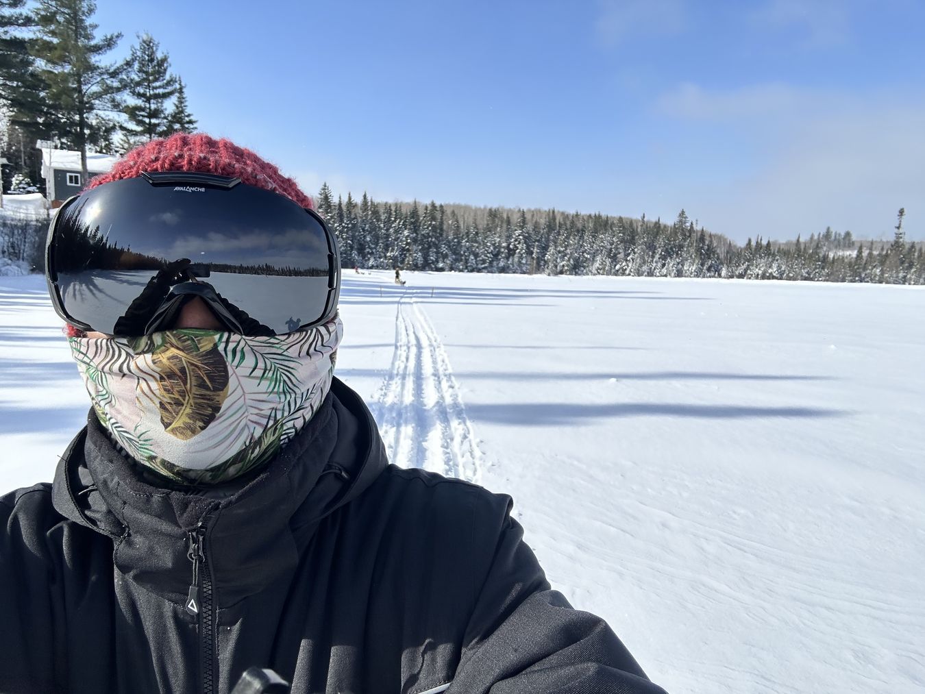 me on the frozen lake me on the frozen lake