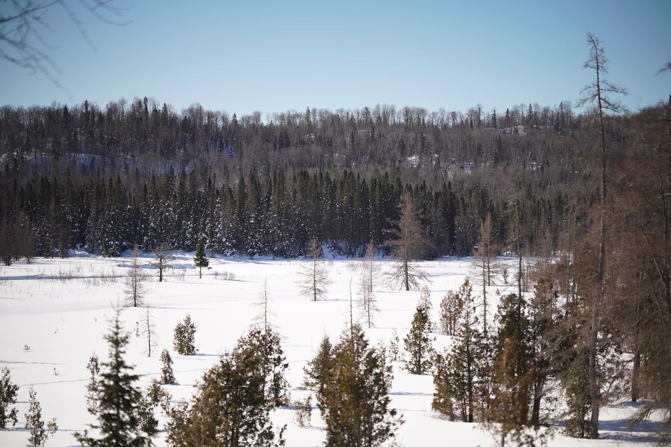 Monts-Valin landscapes snowy landscapes