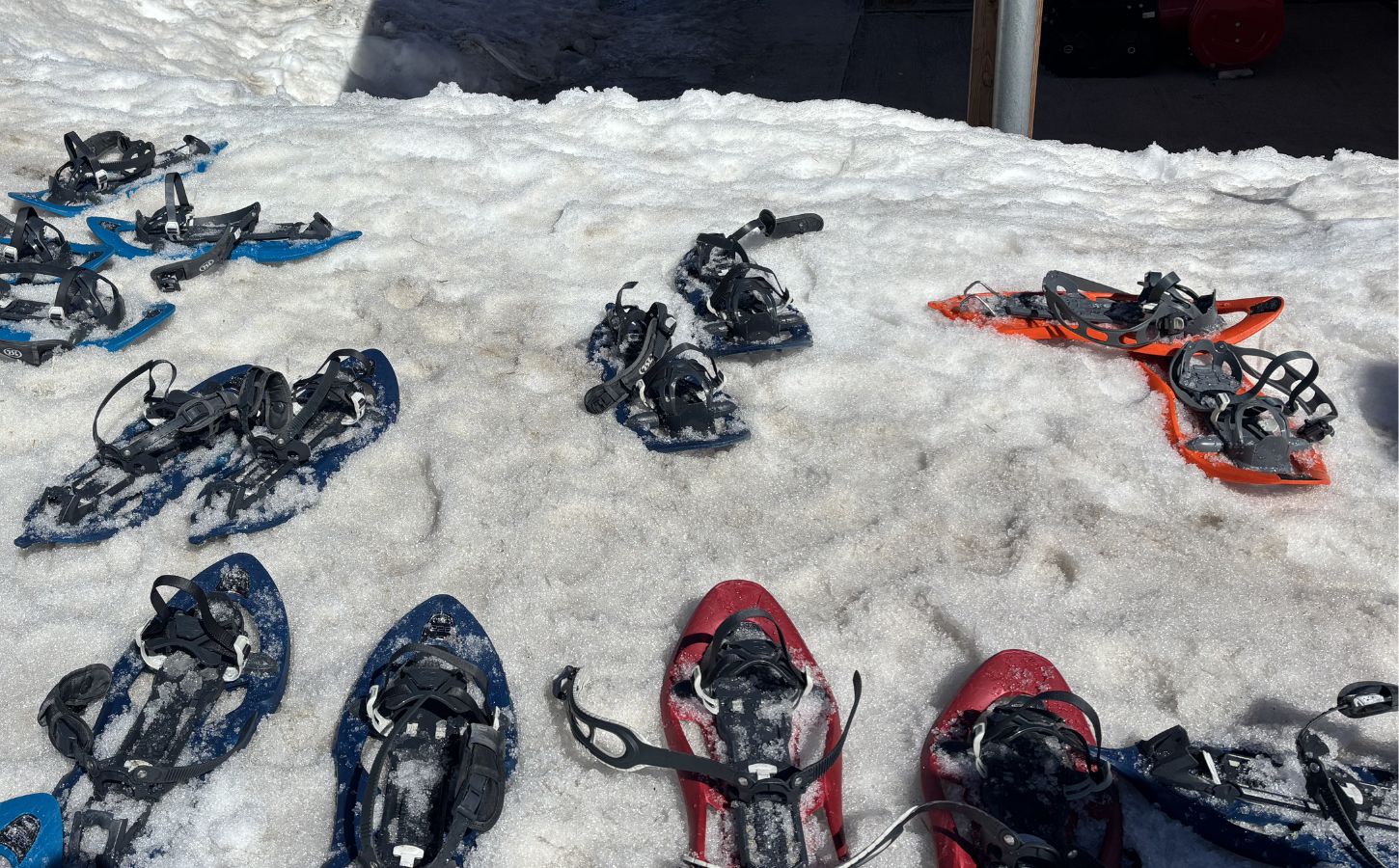Snowshoes Andorra