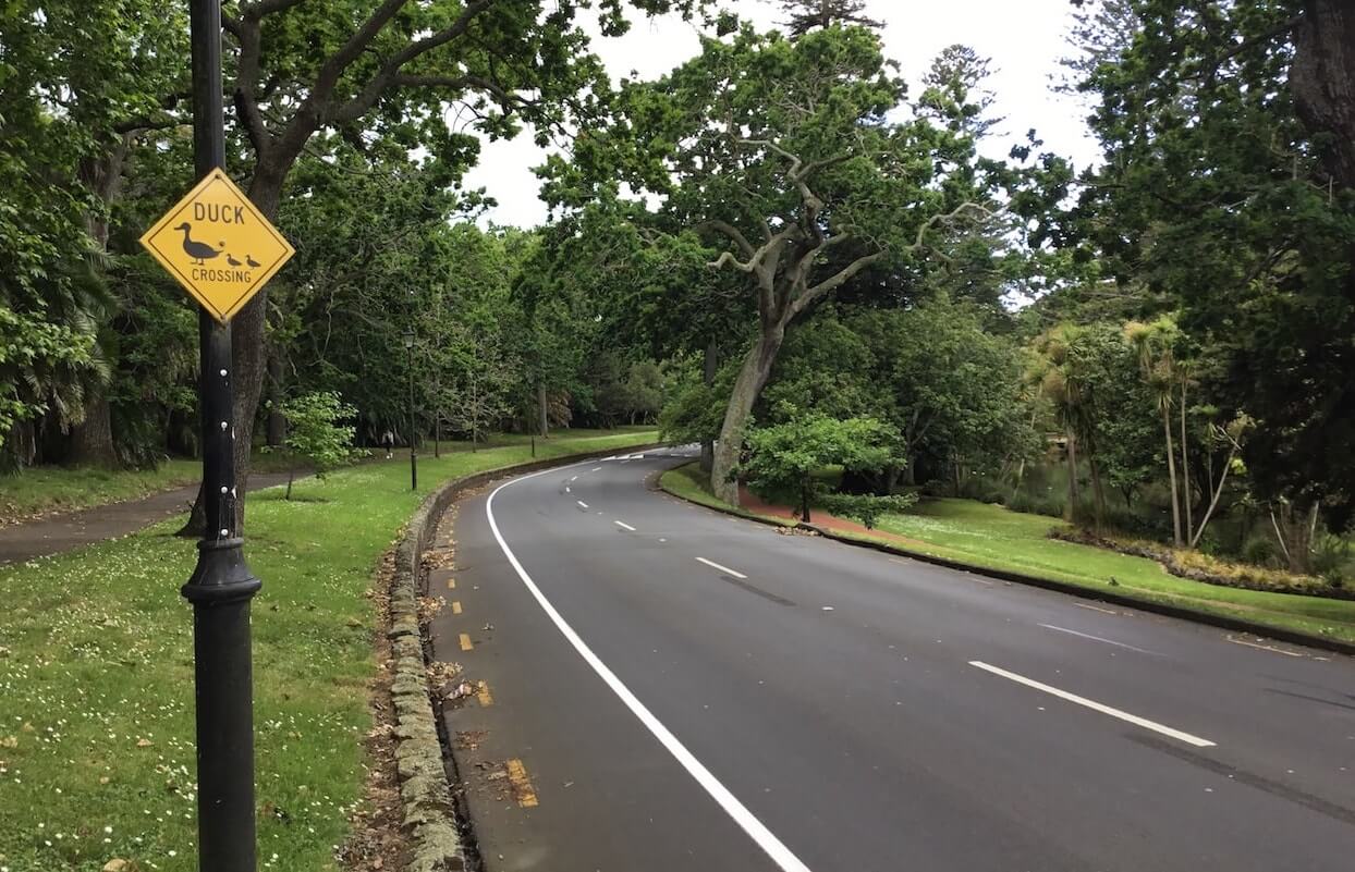 señales divertidas en Nueva Zelanda carretera y conducción en Nueva Zelanda