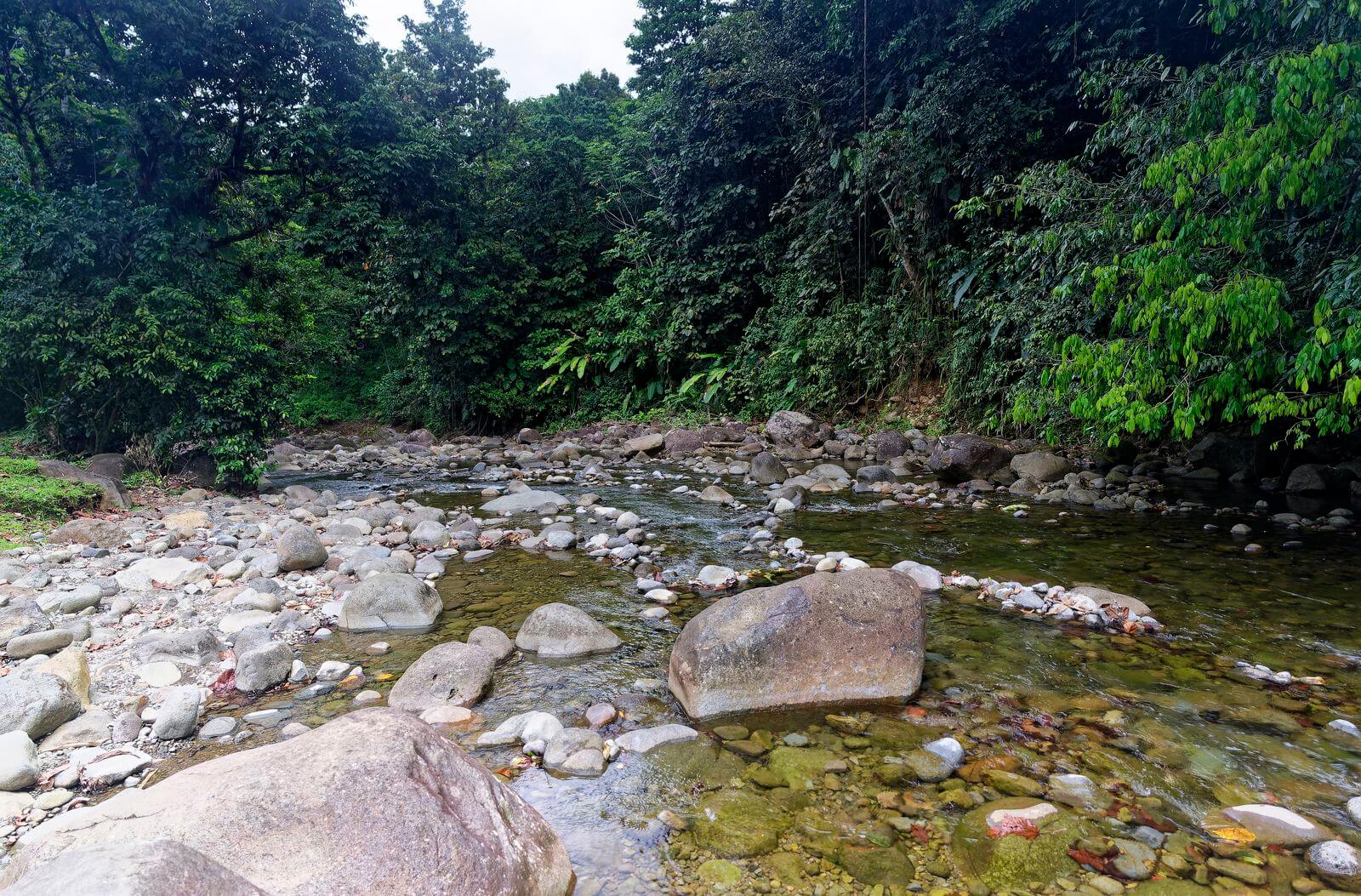 El río Lézarde en Guadalupe El río Lézarde en Petit-Bourg, Guadalupe