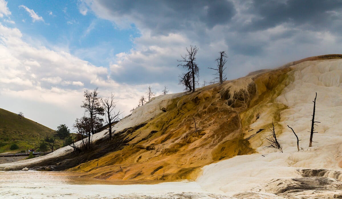Mammoth Hot Springs en el Parque Nacional de Yellowstone paisaje del Parque Nacional de Yellowstone