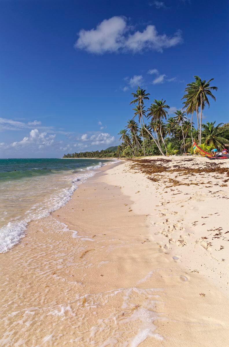 Playa de Feuillère Playa de Feuillère en Marie-Galante