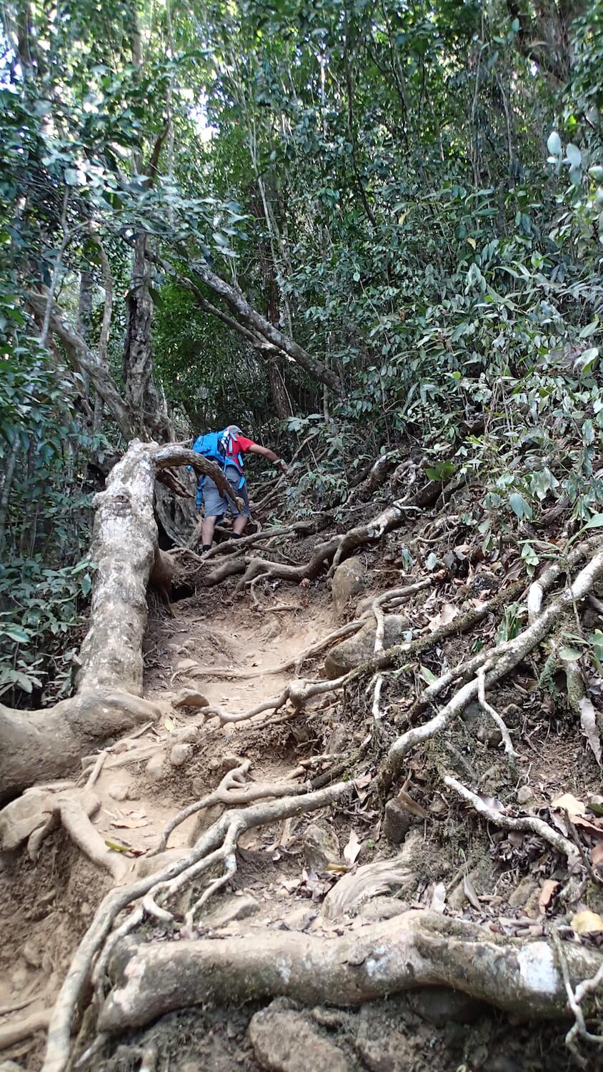 senderismo en el monte Choungui, Mayotte sendero del monte Choungui en la isla de Mayotte