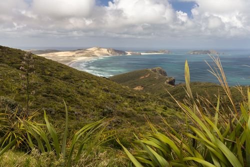 Nueva Zelanda: Cape Reinga, imprescindible imprescindibles que ver y hacer en Cape Reinga, Nueva Zelanda