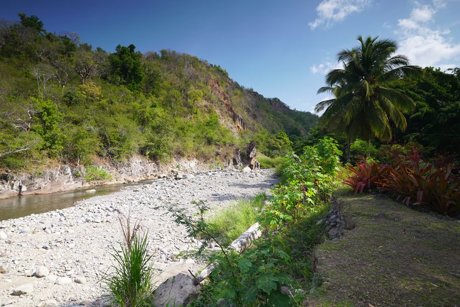 Río Beaugendre Habitation l'oiseau río en Guadalupe
