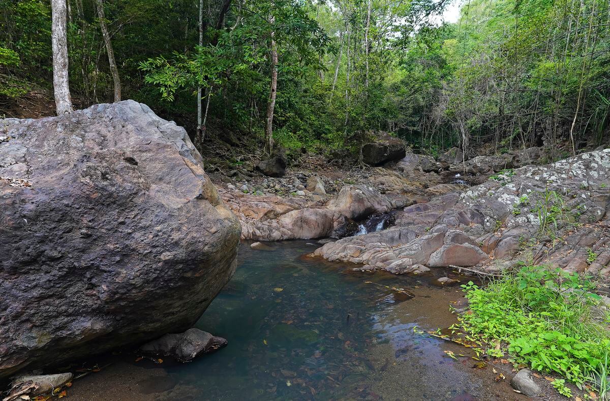 Río Kalinago Río Kalinago, una escapada tranquila en el corazón de Guadalupe