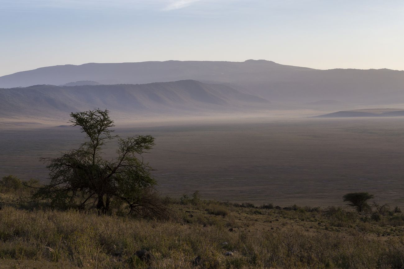 amanecer en el cráter de Ngorongoro safari al amanecer en Ngorongoro