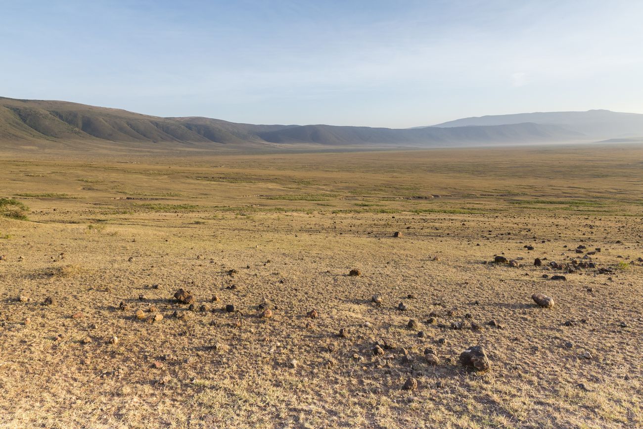 dentro del cráter del Ngorongoro safari en el cráter del Ngorongoro