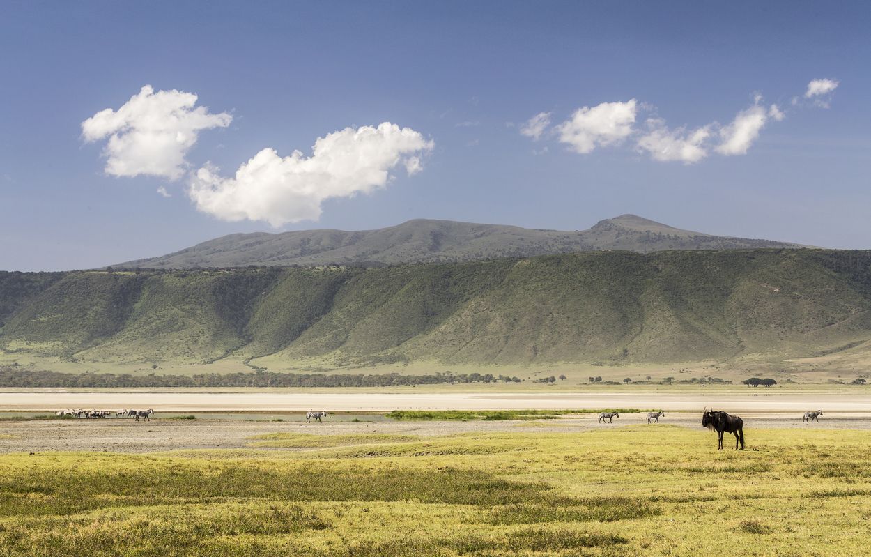 safari en Ngorongoro, Tanzania hermoso paisaje del Ngorongoro