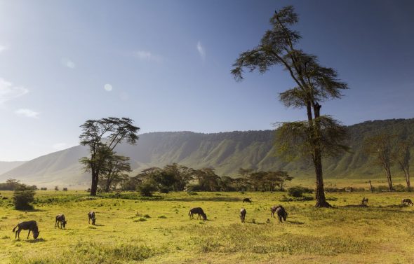 cráter de Ngorongoro safari en Ngorongoro, Tanzania